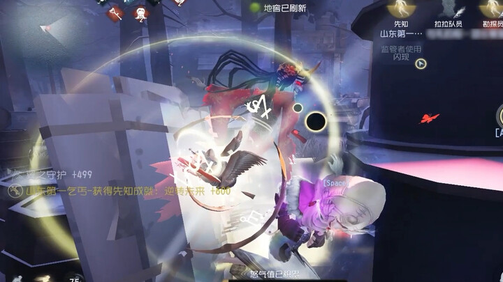 Prophet Salt! He’s really handsome! The bird is handsome too!