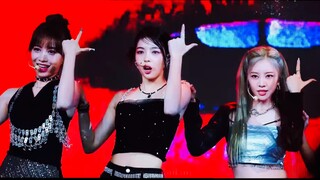 [RED Group] Full Focus｜Hashtag all members face-to-face straight shot｜0823 Shenzhen (audio source ha