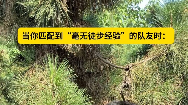 “Chưa có chút kinh nghiệm đi bộ nào” “Thế nào là mới chạy được hai mươi kilomet đã không chịu nổi”