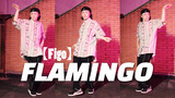 Tari Jalanan: Flamingo