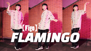 Vũ đạo đường phố: Bài Flamingo