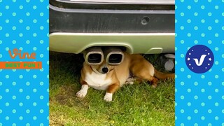 Funny & Hilarious Video People's Happy Life #25 😂 Try Not To Laugh Funny Videos 2024