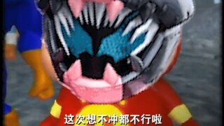 猪 咪 侠
