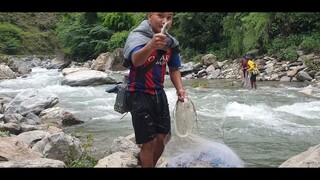 Cast Net Fishing in Small Stream River of Nepal | Cast Netting | Himalayan Trout Fishing |