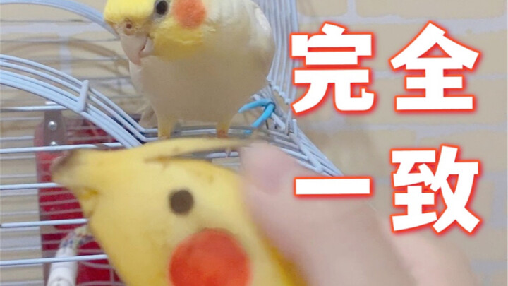 Other People’s Birds