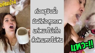 ดีต่อใจจริงๆ น้ำลายหมาผสมน้ำดื่มมันก็ไม่ได้แย่นะ รวมคลิปฮาพากย์ไทย