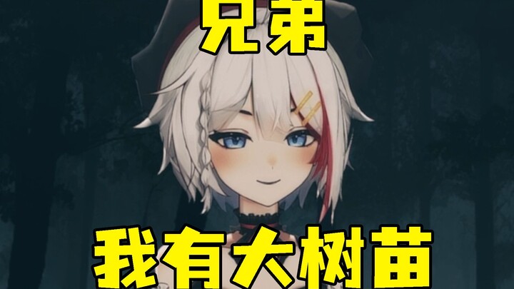 You just planted trees, right?