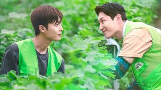 Love Tractor|Episode 3 English Sub|Best Korean BL