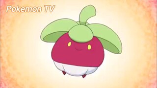 Pokemon Sun & Moon (Short Ep 4) - Pokemon Alola #pokemon