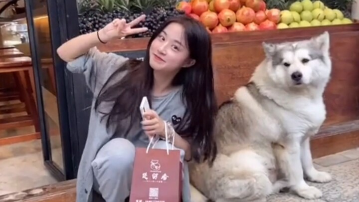 หมาโสดน่าสงสาร ดูสาวสวยกันเถอะ