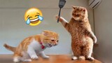 Funniest Animals 2022 ðŸ˜‚ Funniest Cats and Dogs ðŸ˜ºðŸ�¶ Part 24 | Pets Family