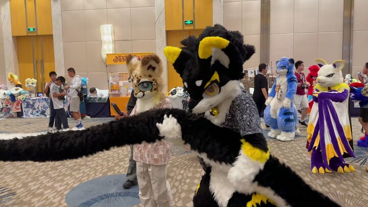 يا كبير! ذاك الذيل الطويل الكبير عاد مجددًا!