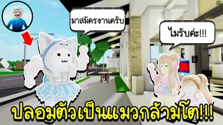 Roblox : ปลอมตัวเป็นแมวนักกล้าม..ไปขอทำงานจะมีใครรับไหมเนี่ย😂🏡 Brookhaven RP cute muscular cat prank