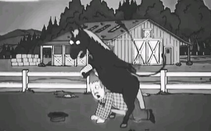 When horses and humans are forced to "think in each other's shoes"