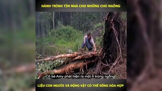hành trình tìm nhà cho những chú ngỗng p1 #review