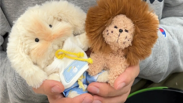 A young guy made a zoo for his wife using twisty sticks?! So cute!