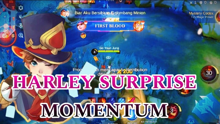 HARLEY SURPRISE MOMENTUM