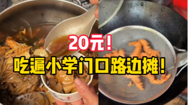 Tantang diri Anda untuk melahap semua jajanan kaki lima di depan sekolah dasar seharga 20 yuan! Sung