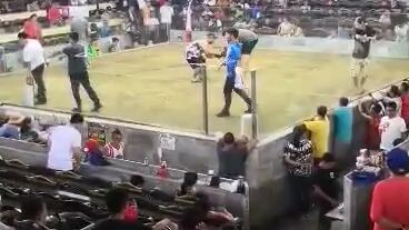 first fight loss