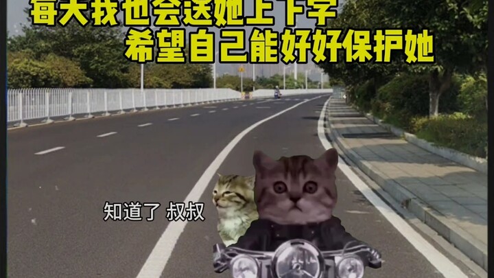 He waited four years for the word "Dad" #catmeme