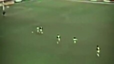 ketika dua jiwa saling beresonasi