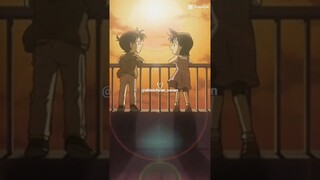detective conan shinichi x ran forever