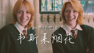 HP韦斯莱双子｜“想和你一起到白头。”