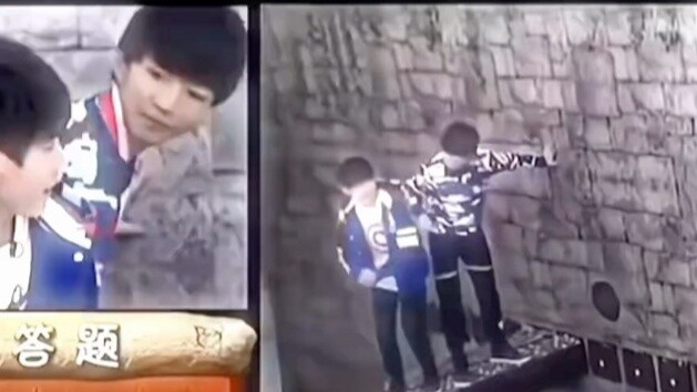 Then may I ask what the previous sentence of "The shepherd boy points to the apricot blossom village