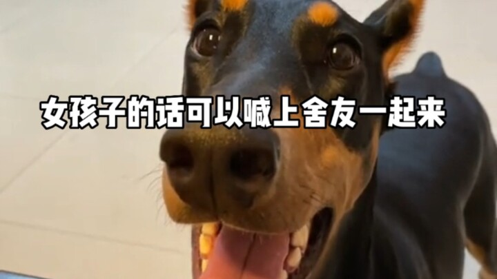 Online waiting for college students to walk their dogs!! Extremely urgent!