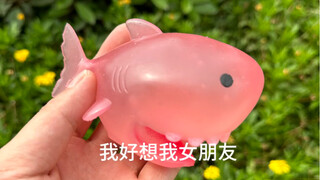 لا بد لي من القول إن مسك هذه القرش مريح جدًا حقًا!