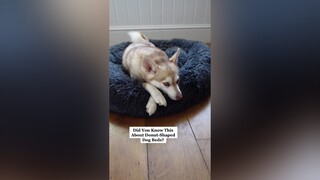 ad I’m sharing with my followers my code LOVEKLEEKAI that allows the first 100 users to get 20% off