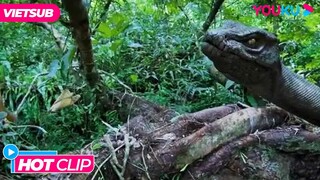 [HOTCLIP] Đoàn Người Mắc Kẹt Giữa Đám Thú Hung Tợn | Đảo Rắn - Snake Island Python | Phim Lẻ YOUKU