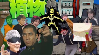 植 物 带 战 僵 尸 2