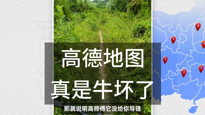 How amazing is Amap, really? 🐮