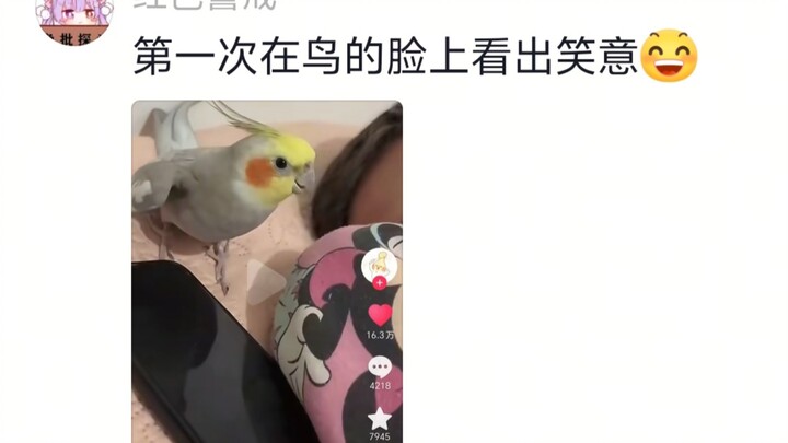 Makhluk paling imut berhasil menguasai suara paling jahat!