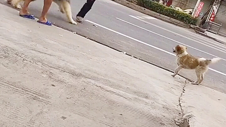 So much like my own humble, insignificant self