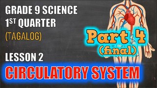 Respiratory System