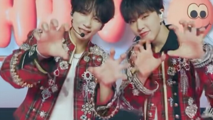 【Yoon Jeonghan Kwon Soonyong】2gg: Menempuh jalan sang harimau hingga tak menyisakan jalan bagi anak-