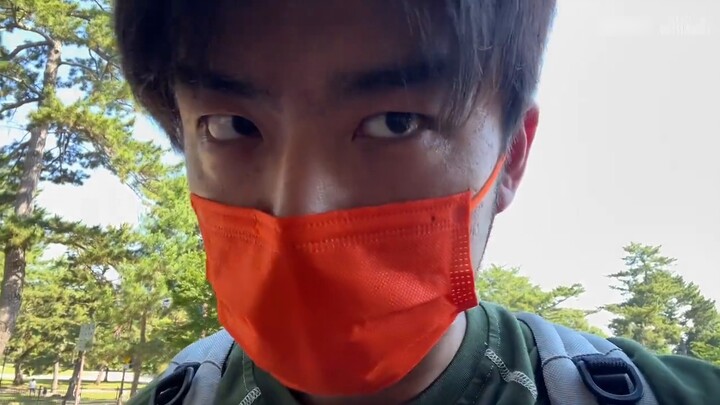 VLOG108. Nara deer always do funny things!