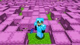 1027 Shulkers VS Minecraft SMP To Get REVENGE