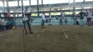 oriental Mindoro roundhead line