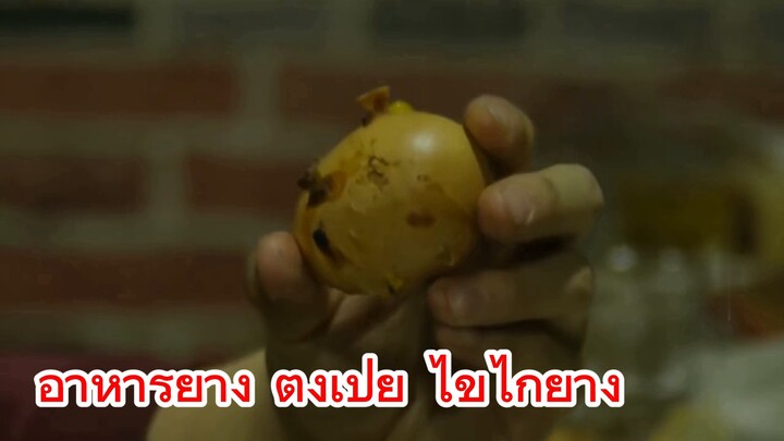 อาหารย่าง ตงเป่ย ไข่ไก่ย่าง