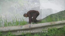 Nghịch Thiên Kỳ Án 2 EP 17 [Sub Việt]