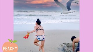 Girls vs BIRDS! 😂 | Bad Day? | Watch What Happens Next | Funny Moments