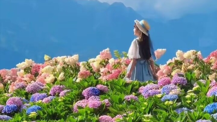 Nature Bueati 🌲🍁🥀