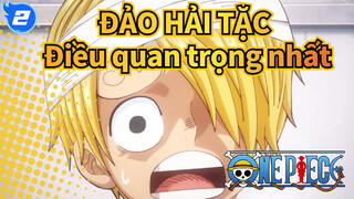 ĐẢO HẢI TẶC|Điều quan trọng nhất là "trái tim"!_2