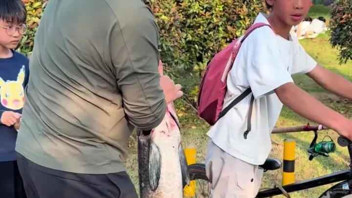 The little guy fished out a big fish all by himself in the lake and just hung it on his body to take