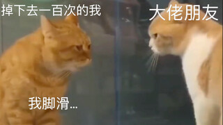 【光遇｜搞笑】暮土和大佬烧大花现状