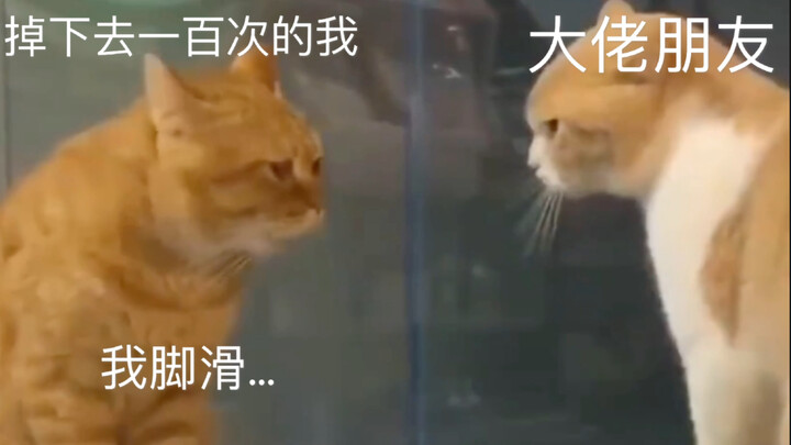 【光遇｜搞笑】暮土和大佬烧大花现状