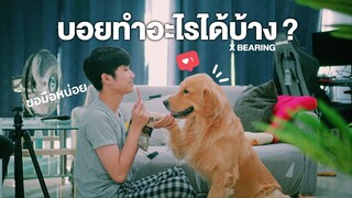 เจ้าบอย ทำคำสั่งอะไรได้บ้างน๊า ? || เพชร กะ บอย X BEARING